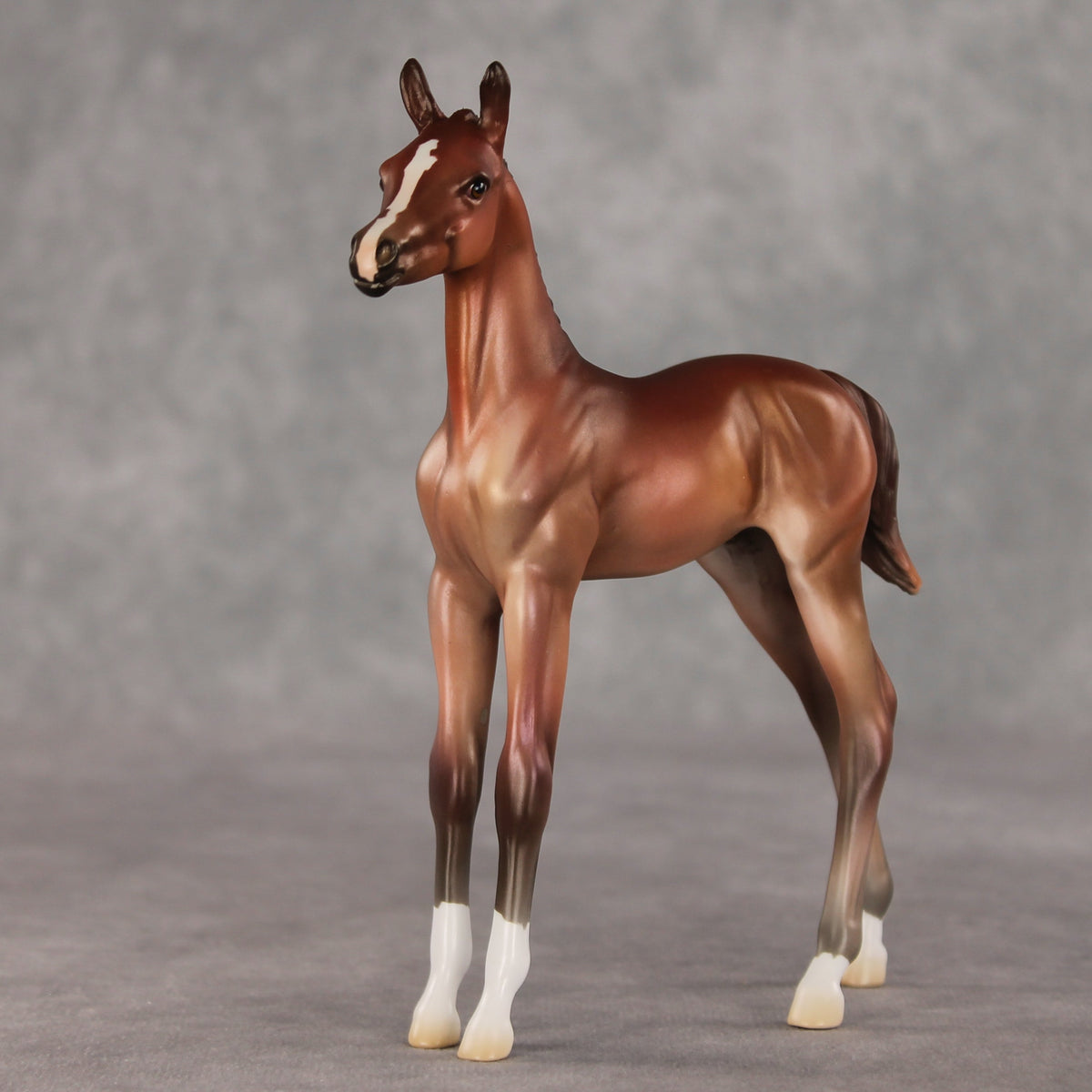 Rosehip OOAK FCM Arabian Foal by Jess Hamill VV26