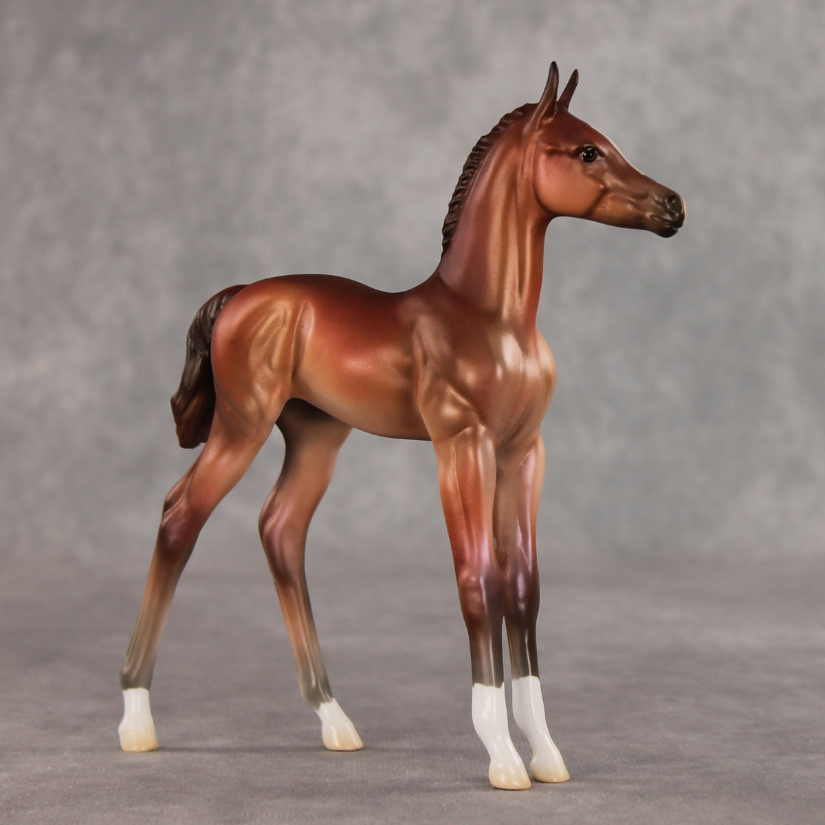 Rosehip OOAK FCM Arabian Foal by Jess Hamill VV26