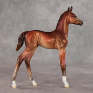 Rosehip OOAK FCM Arabian Foal by Jess Hamill VV26