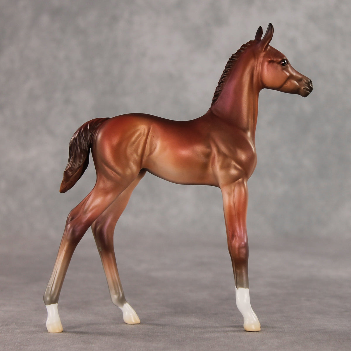 Rosehip OOAK FCM Arabian Foal by Jess Hamill VV26