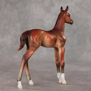 Rosehip OOAK FCM Arabian Foal by Jess Hamill VV26