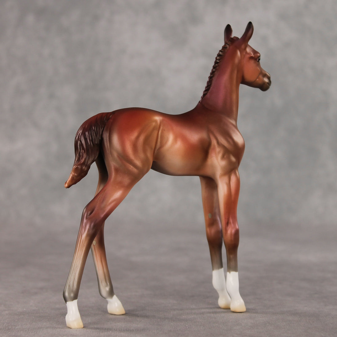 Rosehip OOAK FCM Arabian Foal by Jess Hamill VV26