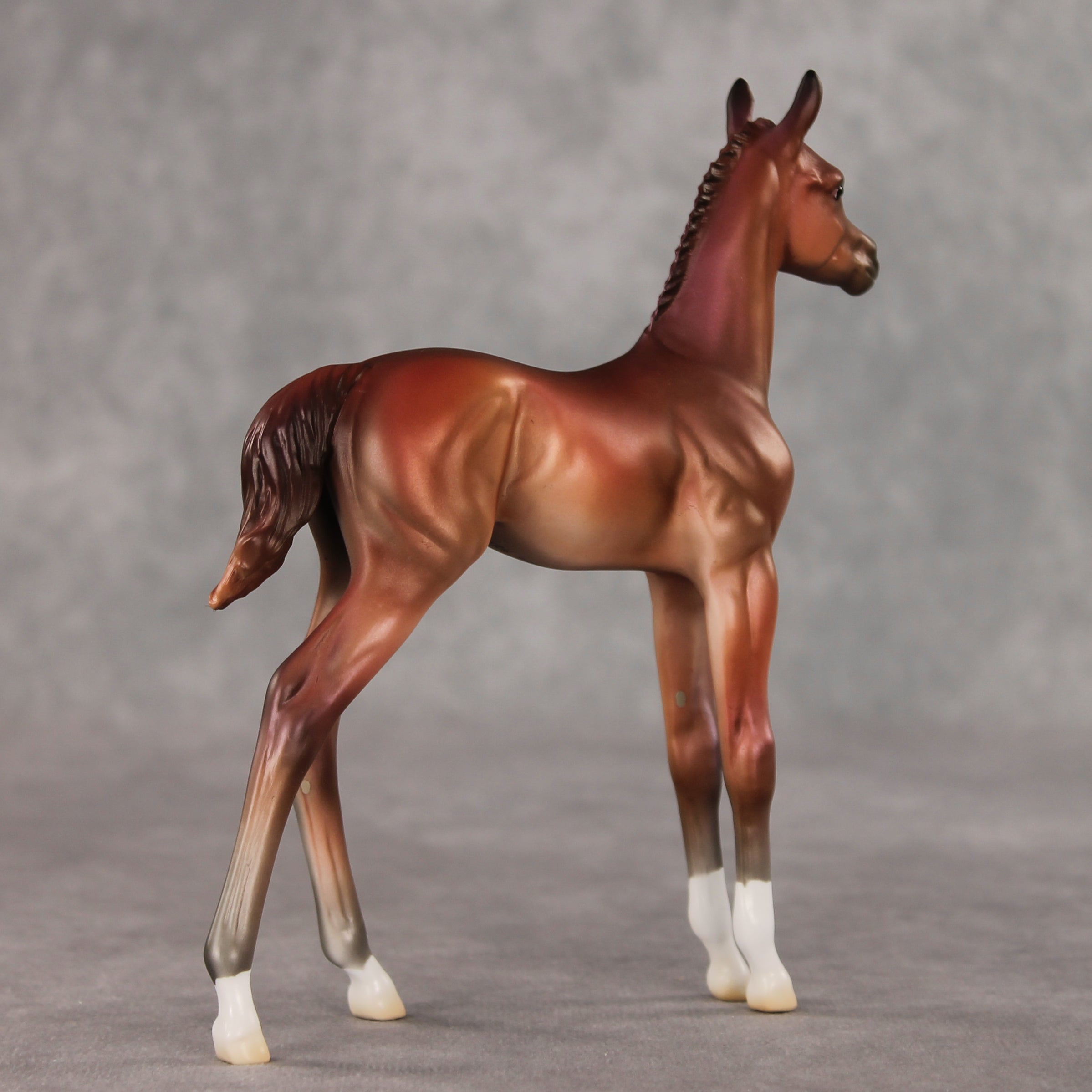 Rosehip OOAK FCM Arabian Foal by Jess Hamill VV26