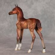 Rosehip OOAK FCM Arabian Foal by Jess Hamill VV26