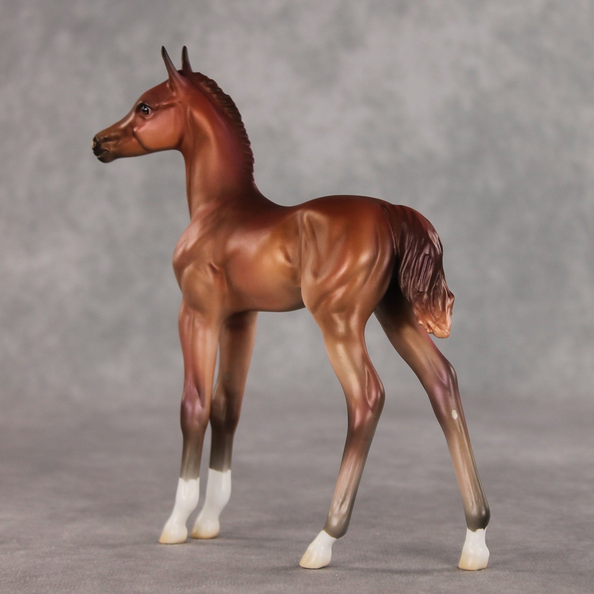 Rosehip OOAK FCM Arabian Foal by Jess Hamill VV26