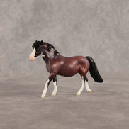 Roses LE-5 Chip Pony by Anna Rieck June $99 Chips