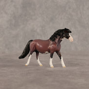 Roses LE-5 Chip Pony by Anna Rieck June $99 Chips