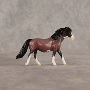 Roses LE-5 Chip Pony by Anna Rieck June $99 Chips