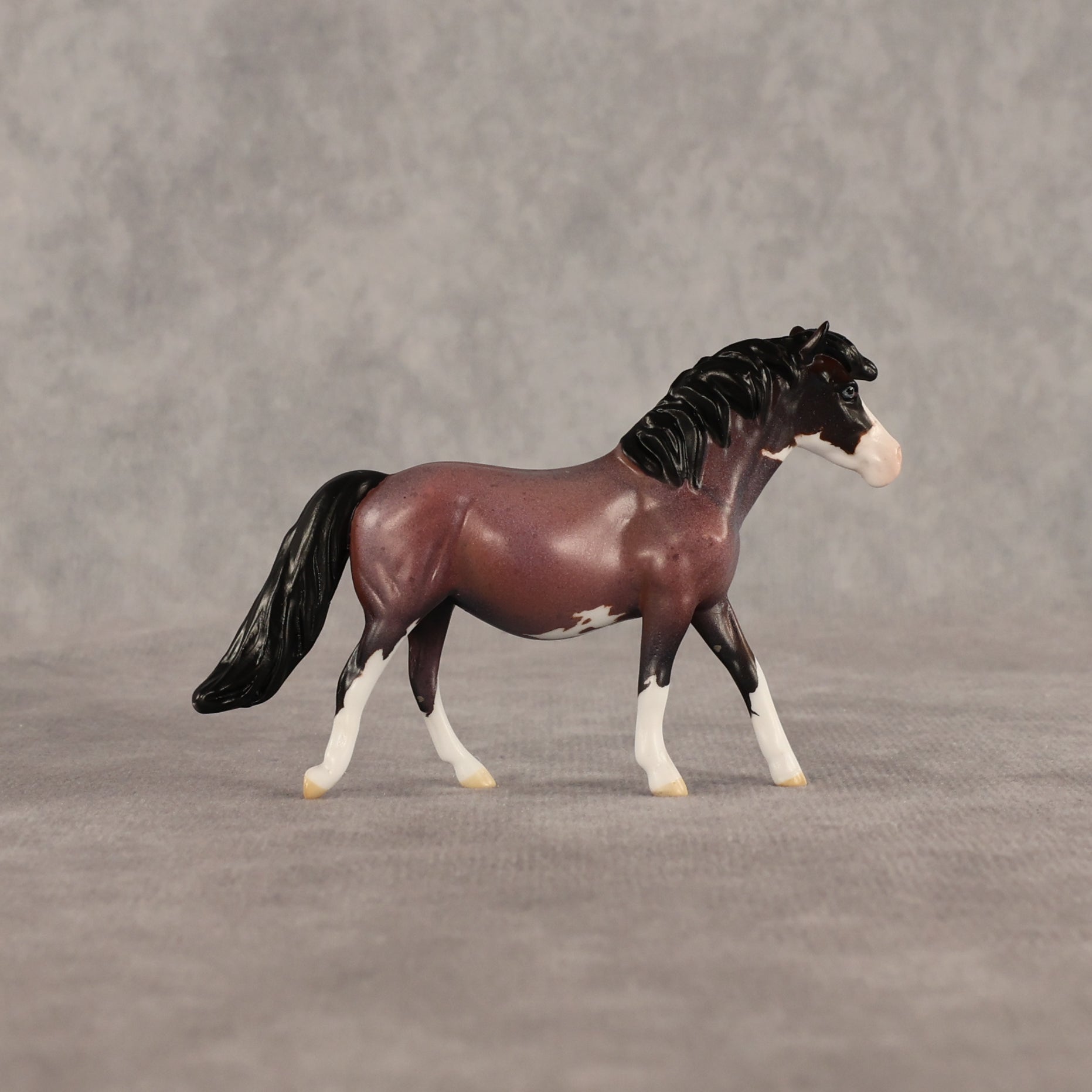 Roses LE-5 Chip Pony by Anna Rieck June $99 Chips