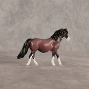 Roses LE-5 Chip Pony by Anna Rieck June $99 Chips