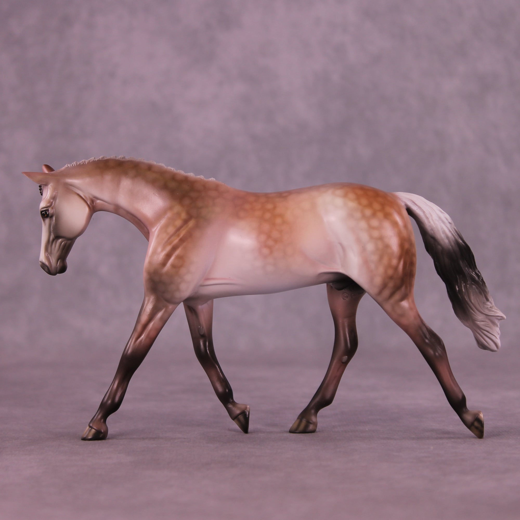 SAMPLE Roses in December Pebble Warmblood by Dawn Quick 11/25/2025 SS1125