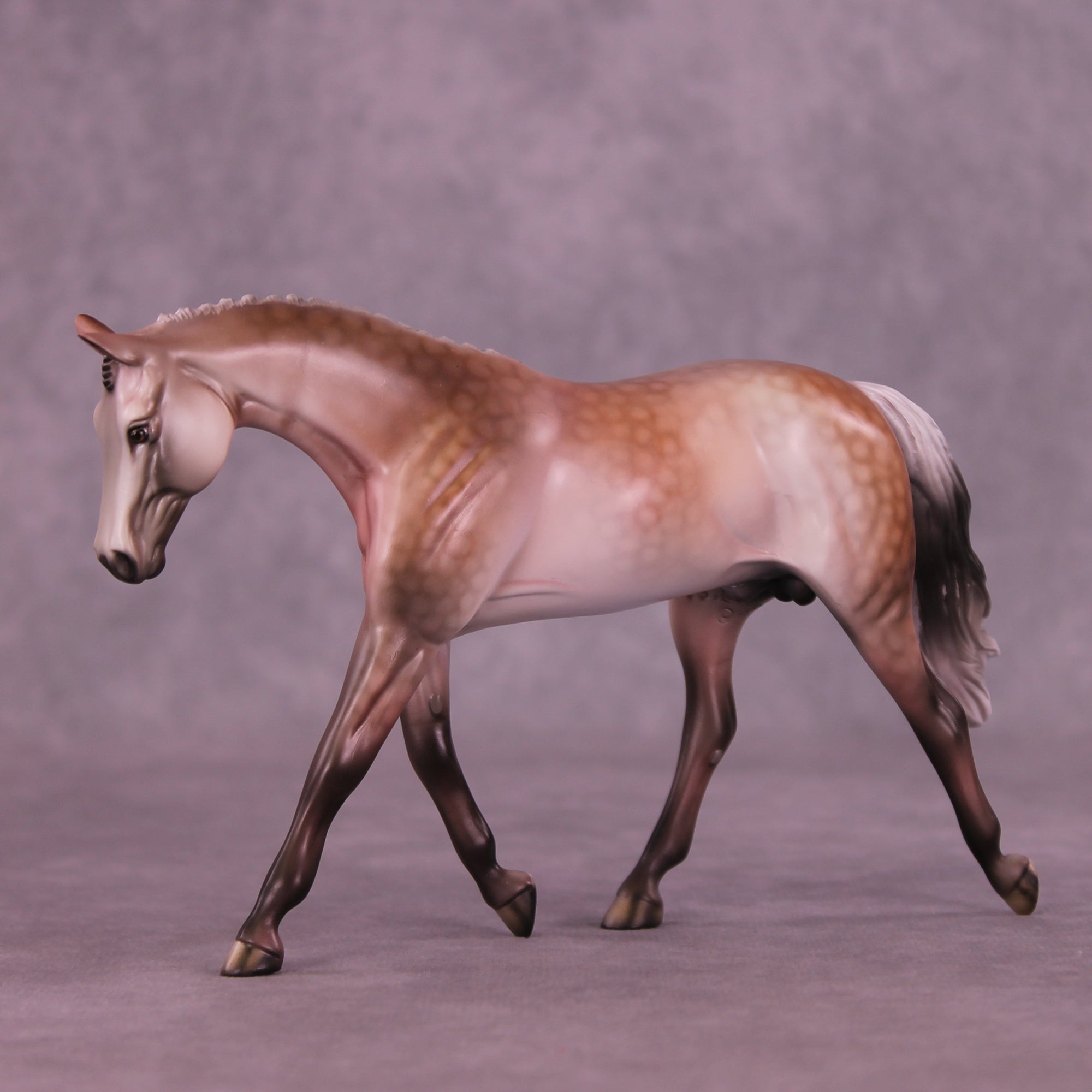 SAMPLE Roses in December Pebble Warmblood by Dawn Quick 11/25/2025 SS1125