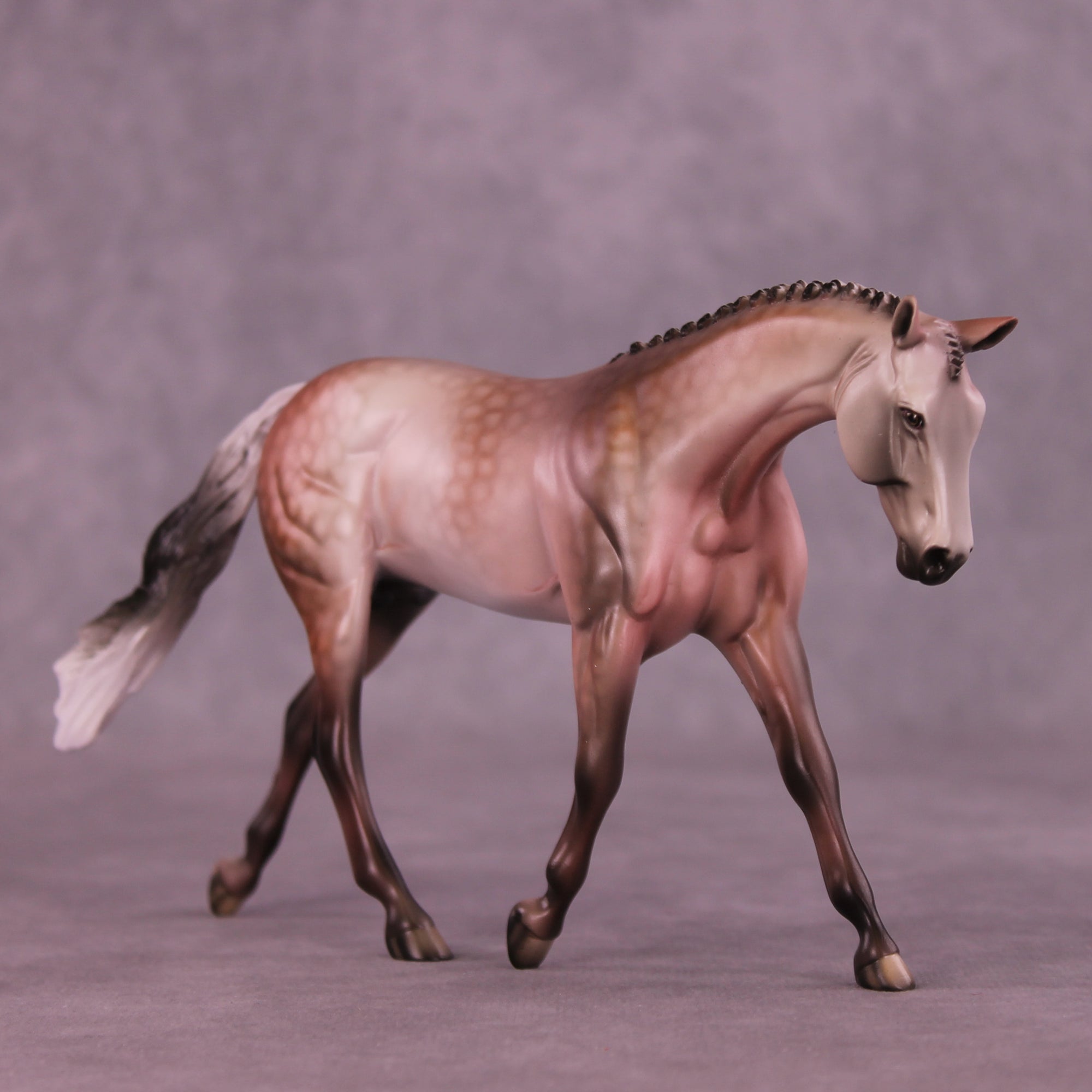 SAMPLE Roses in December Pebble Warmblood by Dawn Quick 11/25/2025 SS1125