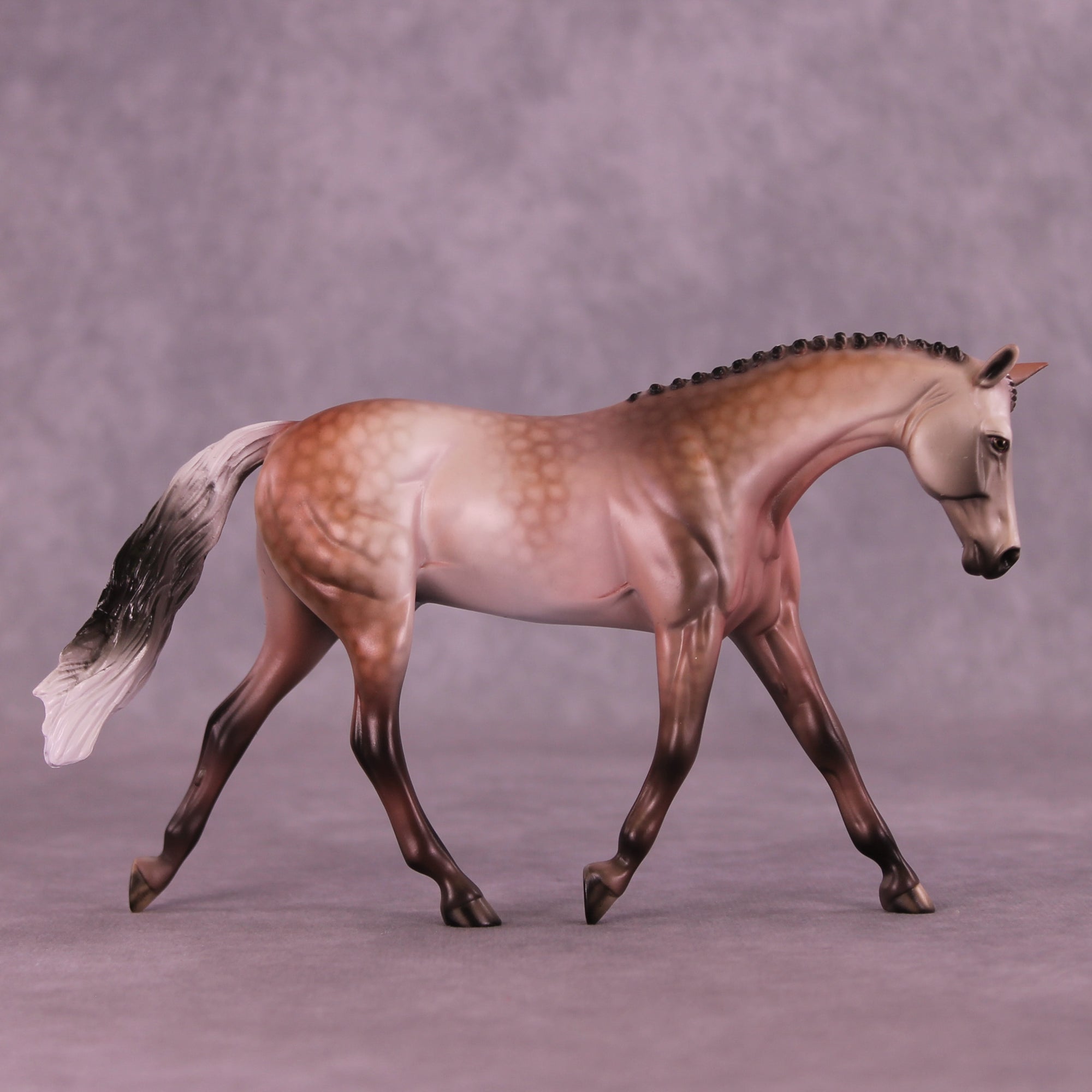 SAMPLE Roses in December Pebble Warmblood by Dawn Quick 11/25/2025 SS1125