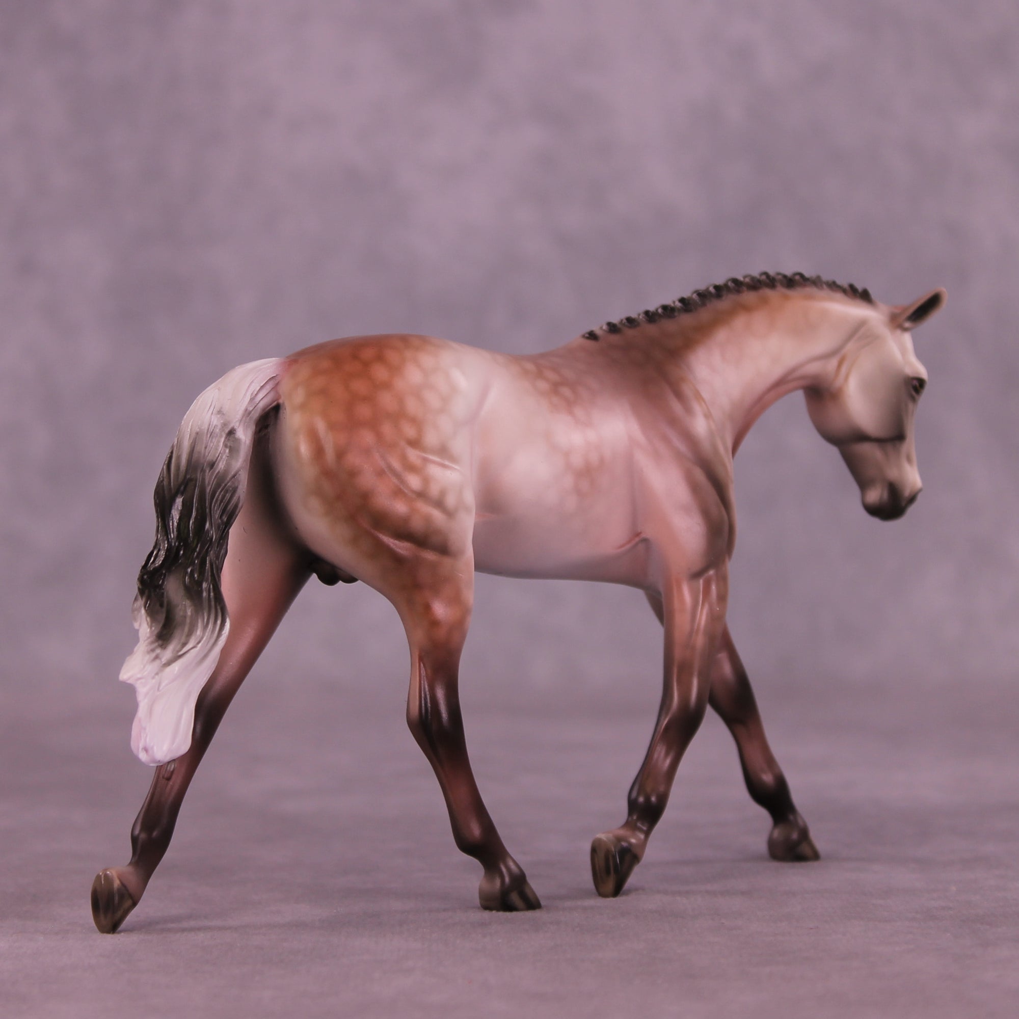 SAMPLE Roses in December Pebble Warmblood by Dawn Quick 11/25/2025 SS1125