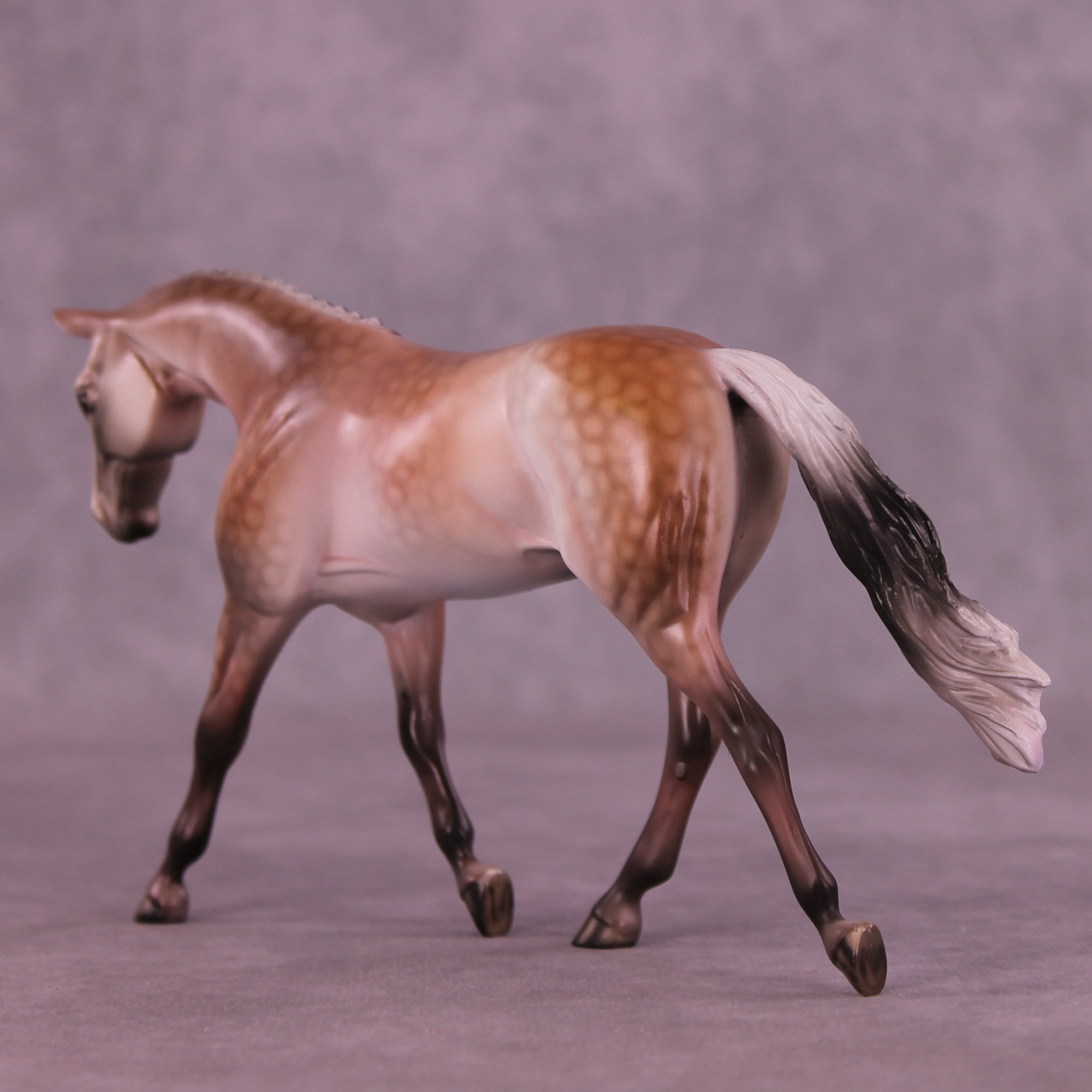 SAMPLE Roses in December Pebble Warmblood by Dawn Quick 11/25/2025 SS1125