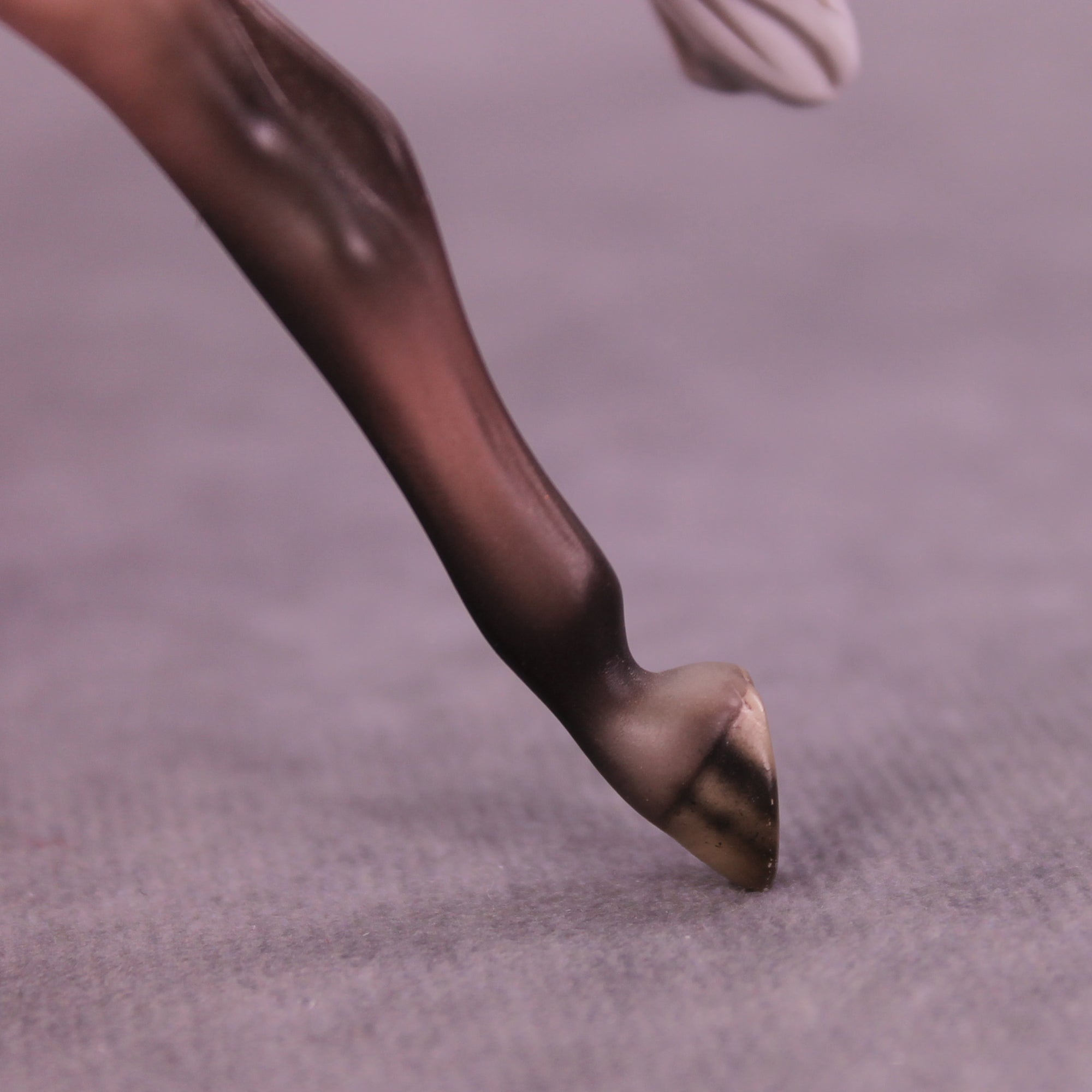 SAMPLE Roses in December Pebble Warmblood by Dawn Quick 11/25/2025 SS1125