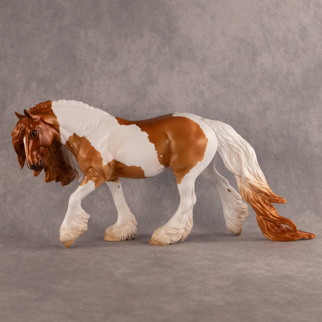 Roth IRA OOAK Irish Cob by Erin Corbett EQ26