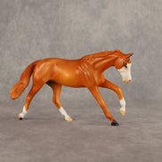 Royal Rumble OOAK FCM Pebble Stock Horse by Alex Fortman EQ26