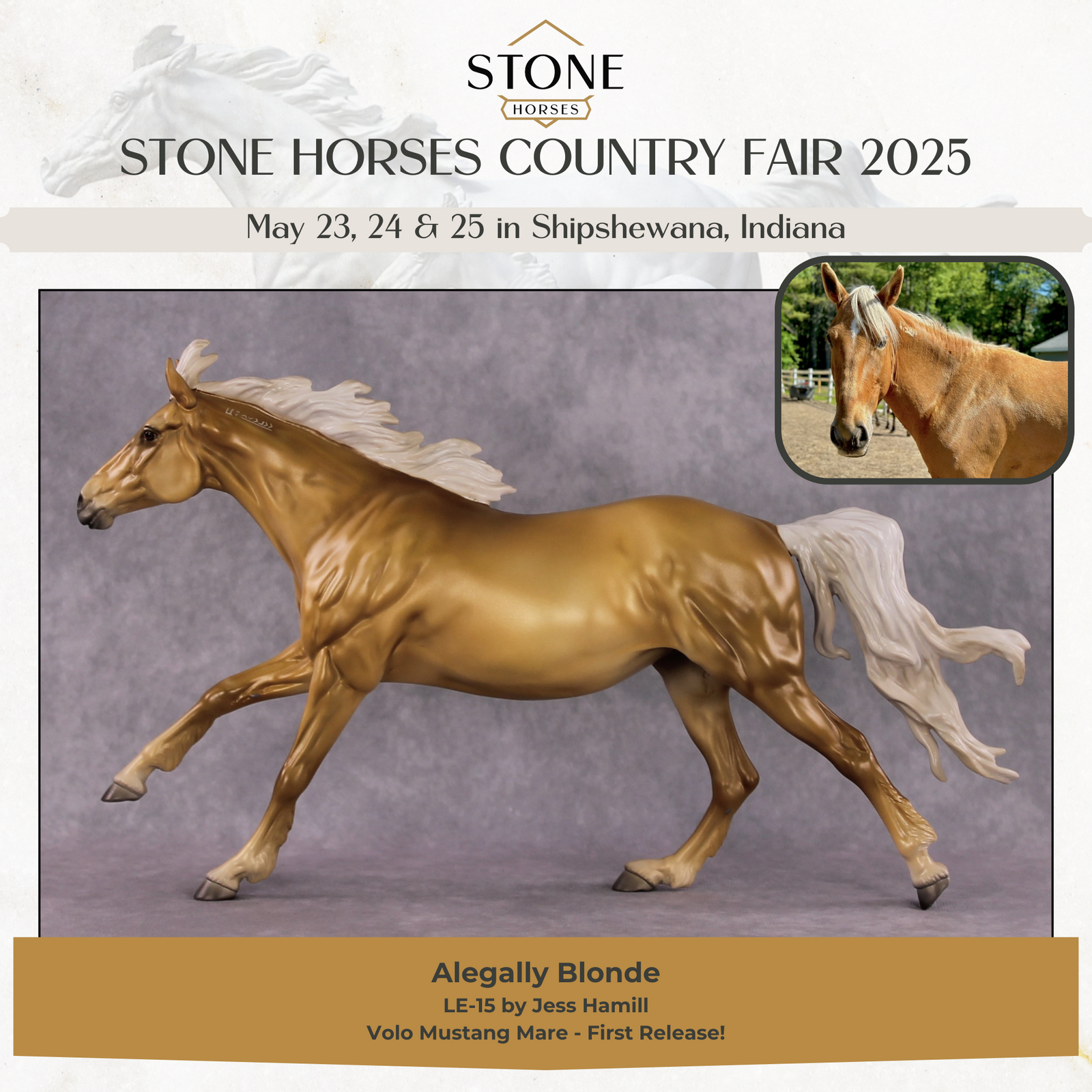 "Aali" LE-15 Volo By Jess Hamill SHCF25 Run