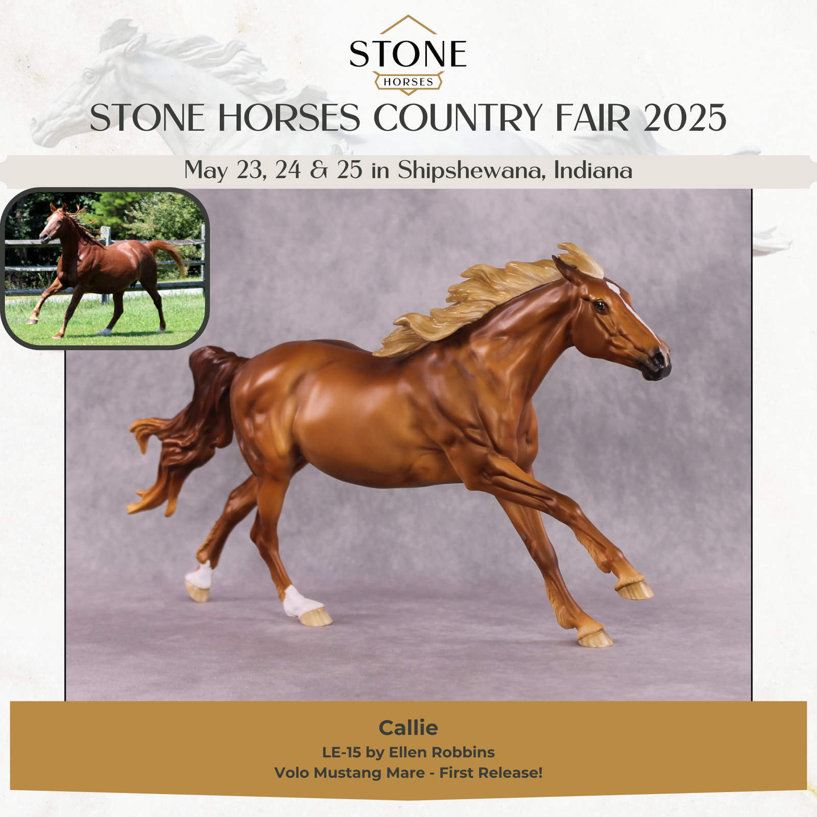 "Callie" LE-15 Volo By Ellen Robbins SHCF25 Run