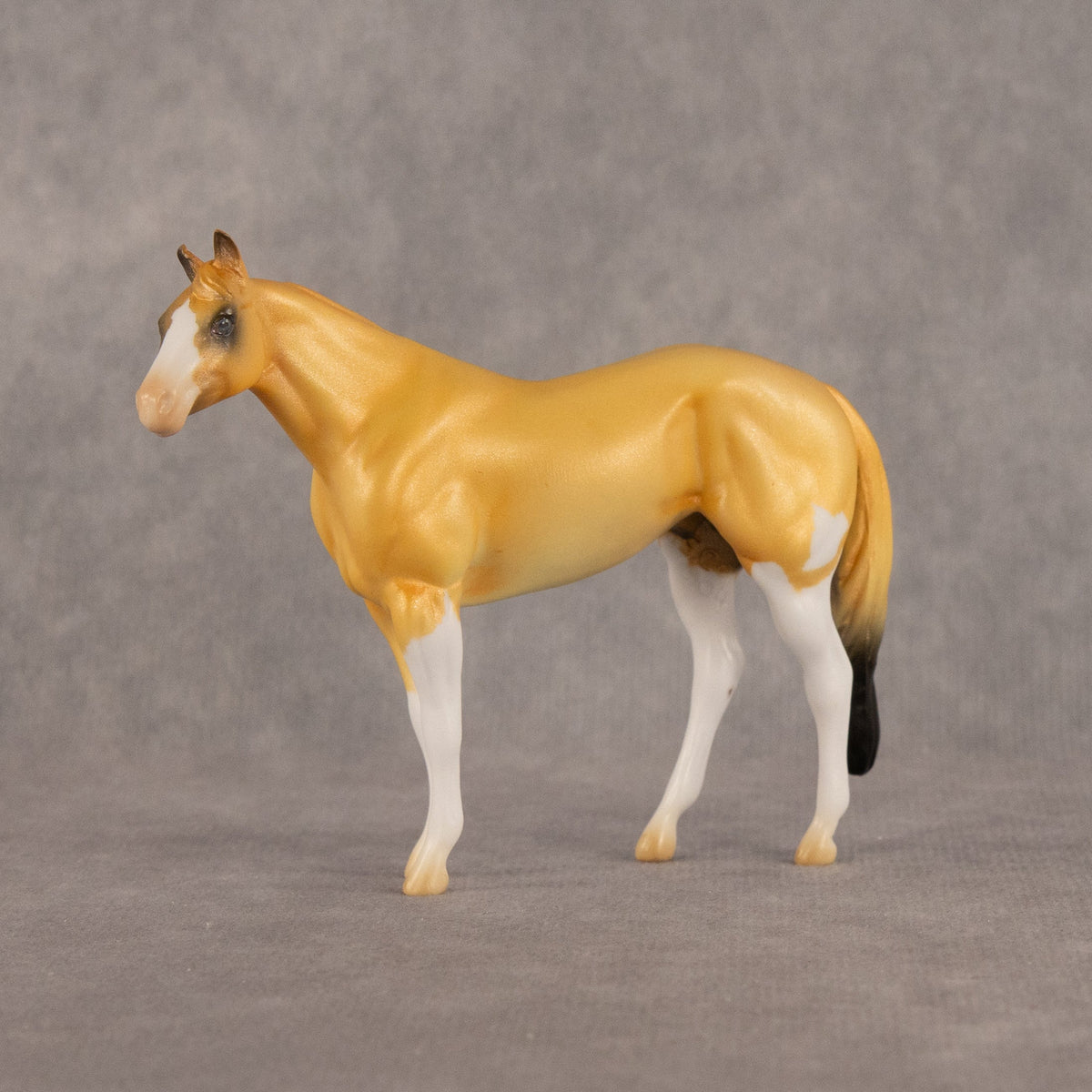 Sabertooth OOAK Chip Stock Horse by Alex Fortman LHS26