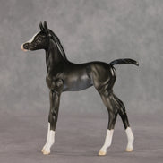 Sabrina OOAK FCM Arabian Foal by Ellen Robbins VV26