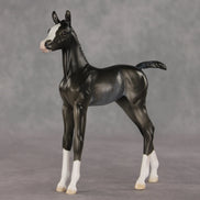 Sabrina OOAK FCM Arabian Foal by Ellen Robbins VV26