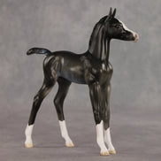 Sabrina OOAK FCM Arabian Foal by Ellen Robbins VV26