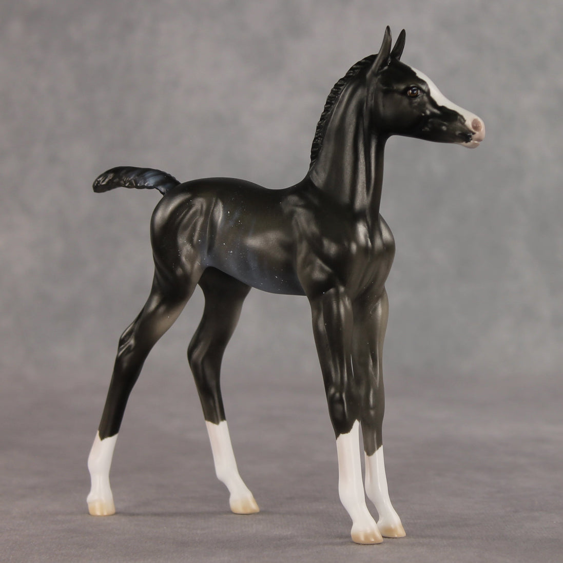 Sabrina OOAK FCM Arabian Foal by Ellen Robbins VV26