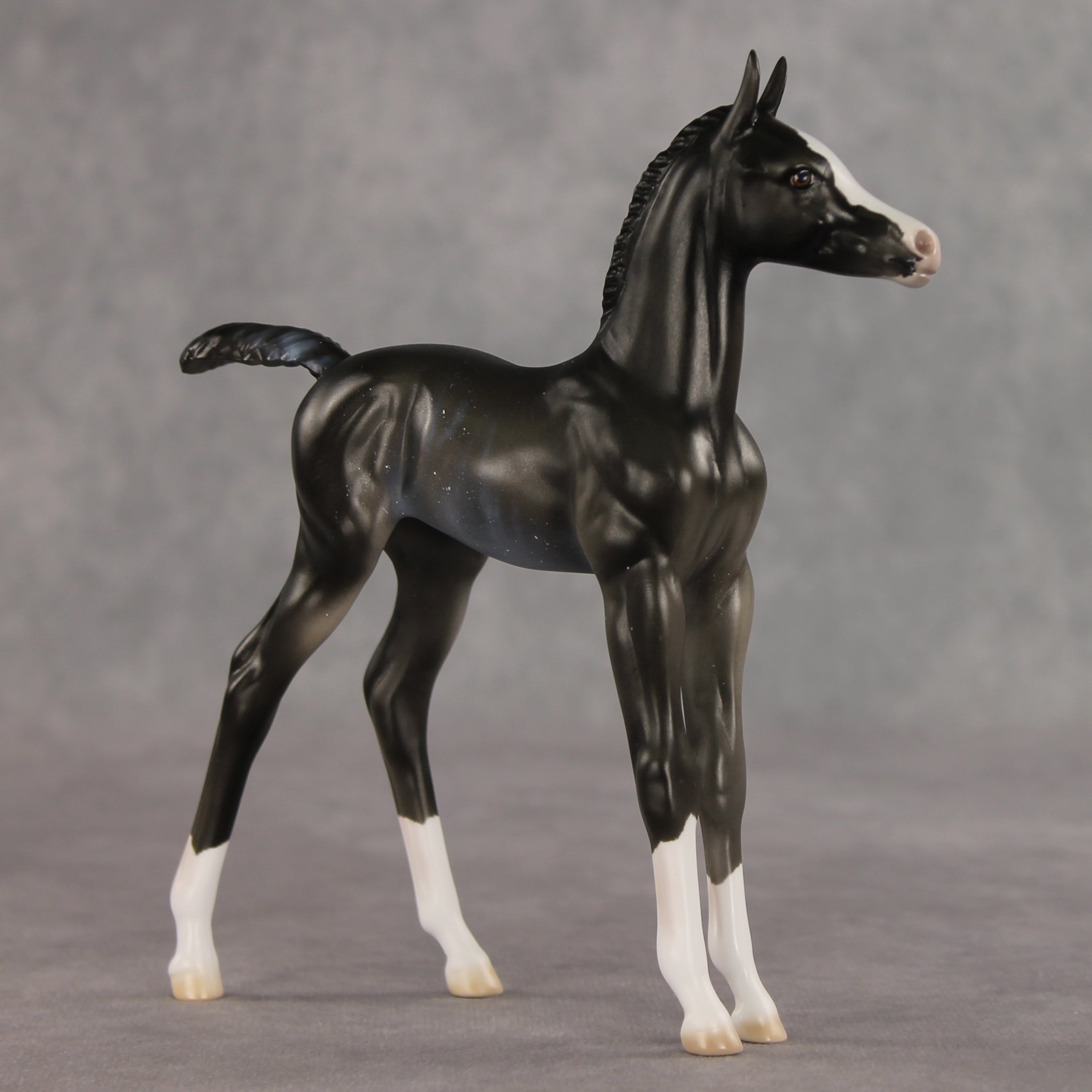 Sabrina OOAK FCM Arabian Foal by Ellen Robbins VV26