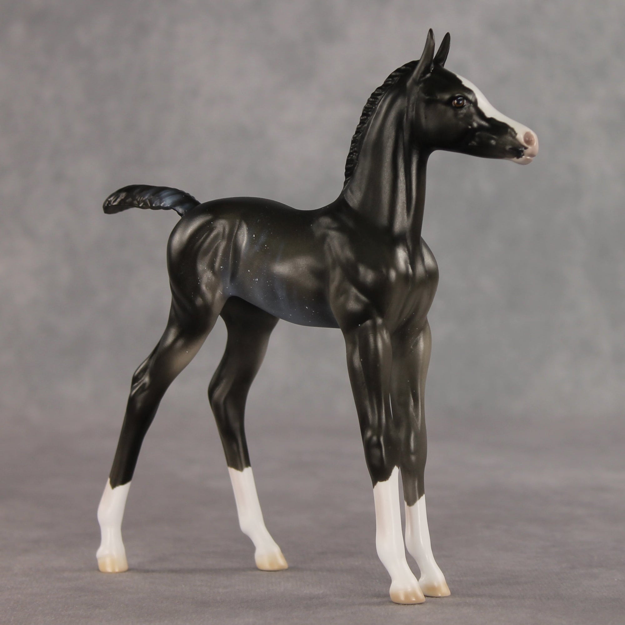 Sabrina OOAK FCM Arabian Foal by Ellen Robbins VV26