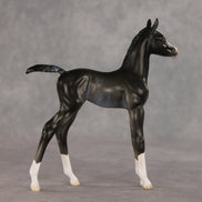 Sabrina OOAK FCM Arabian Foal by Ellen Robbins VV26