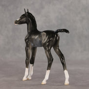 Sabrina OOAK FCM Arabian Foal by Ellen Robbins VV26