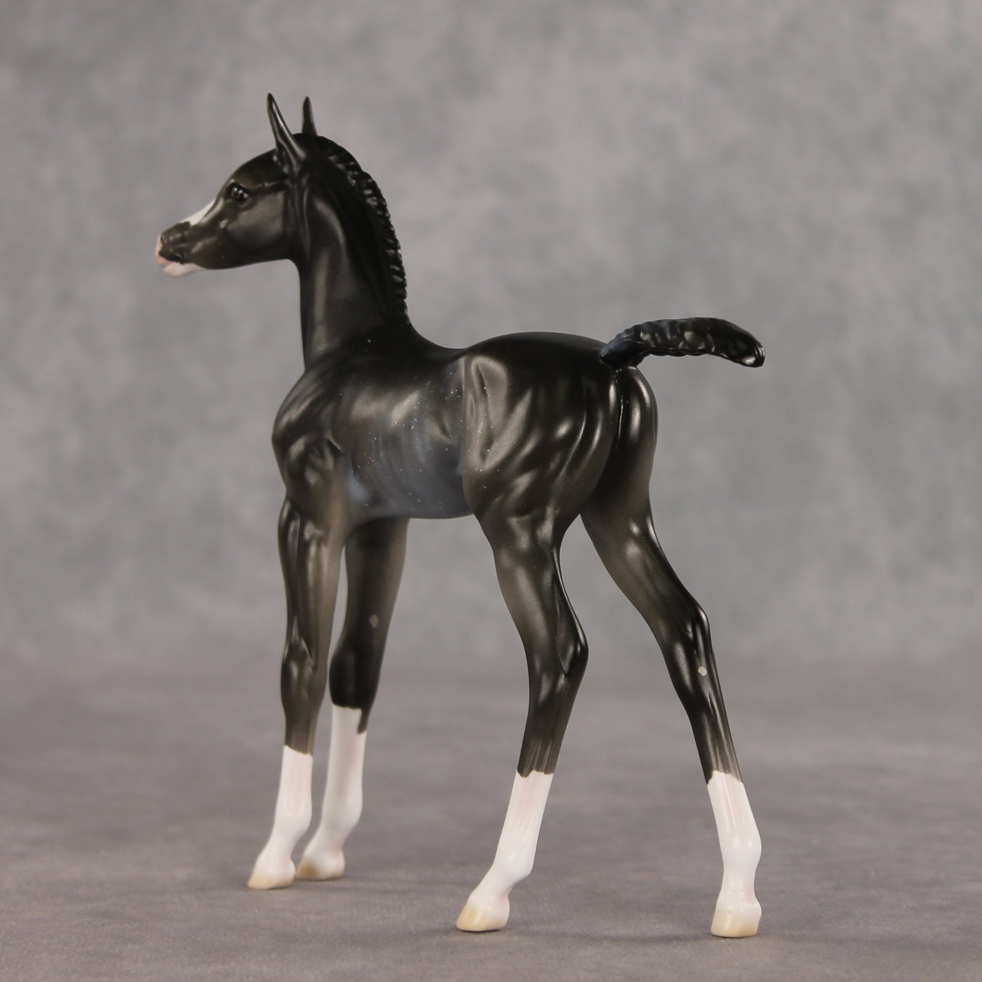 Sabrina OOAK FCM Arabian Foal by Ellen Robbins VV26