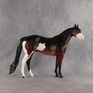 Safari Sunset OOAK Ideal Stock Horse by Alex Fortman EQ26