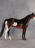 Safari Sunset OOAK Ideal Stock Horse by Alex Fortman EQ26