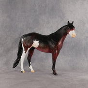 Safari Sunset OOAK Ideal Stock Horse by Alex Fortman EQ26