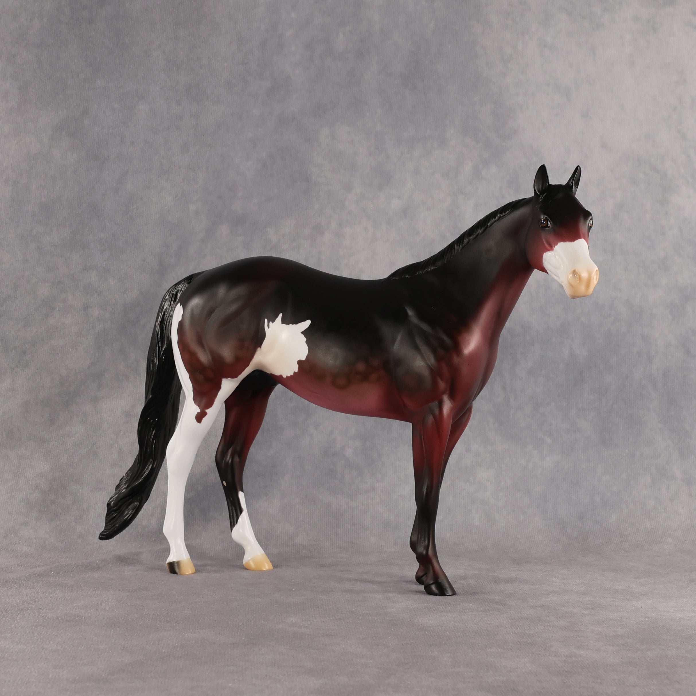 Safari Sunset OOAK Ideal Stock Horse by Alex Fortman EQ26