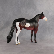 Safari Sunset OOAK Ideal Stock Horse by Alex Fortman EQ26