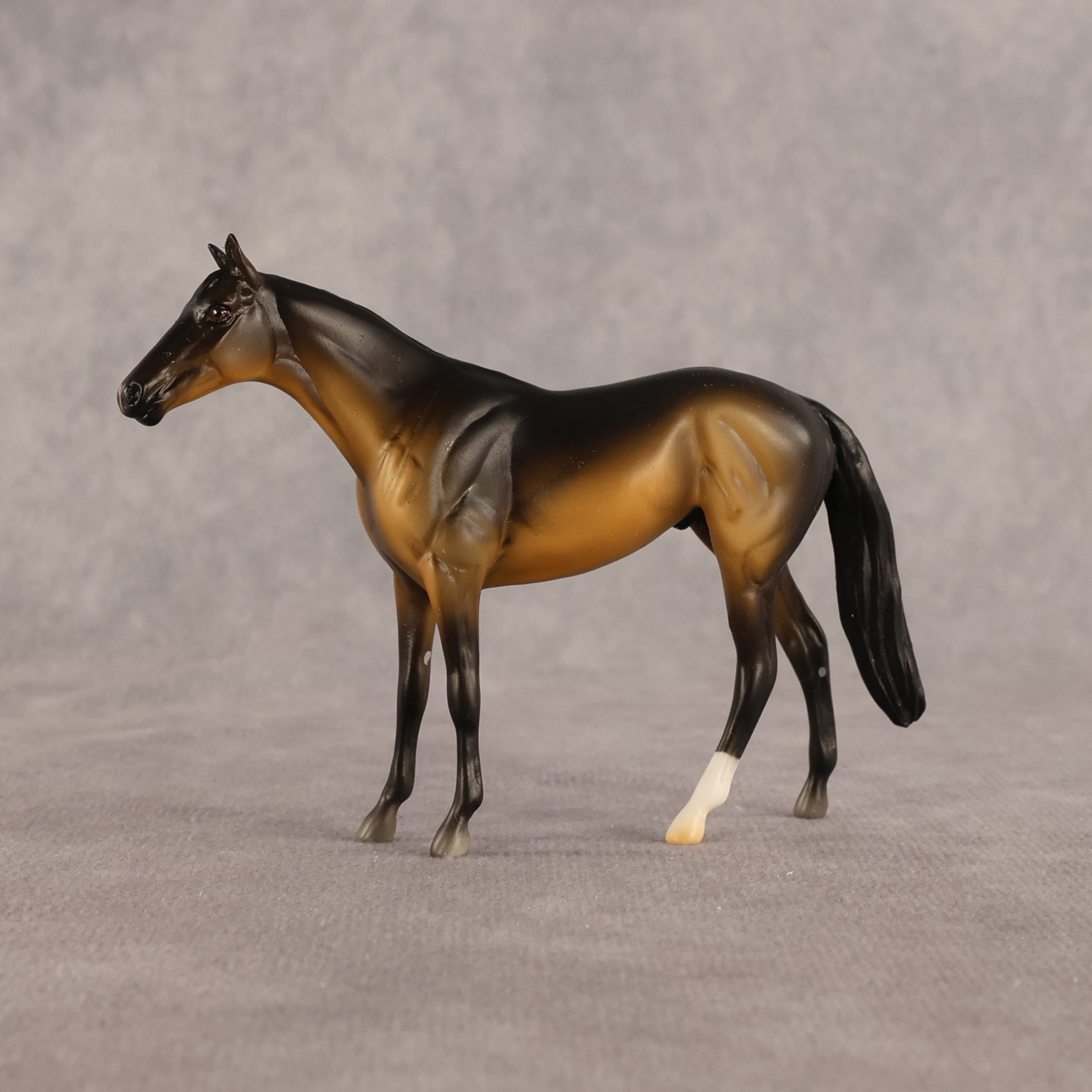 Sam OOAK Chip Thoroughbred  by Madi Wiseman EQ26