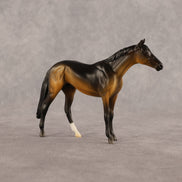 Sam OOAK Chip Thoroughbred  by Madi Wiseman EQ26