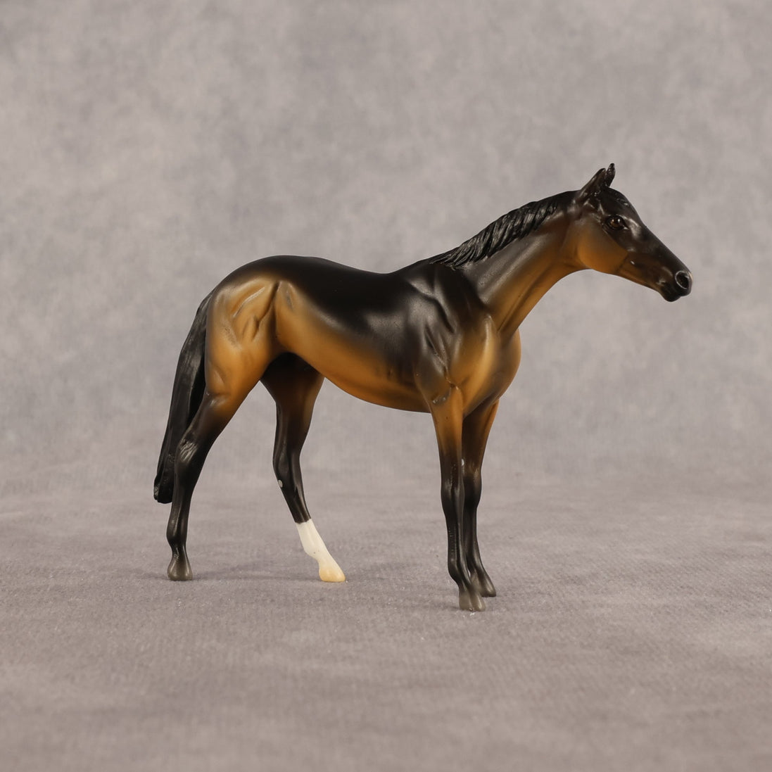 Sam OOAK Chip Thoroughbred  by Madi Wiseman EQ26