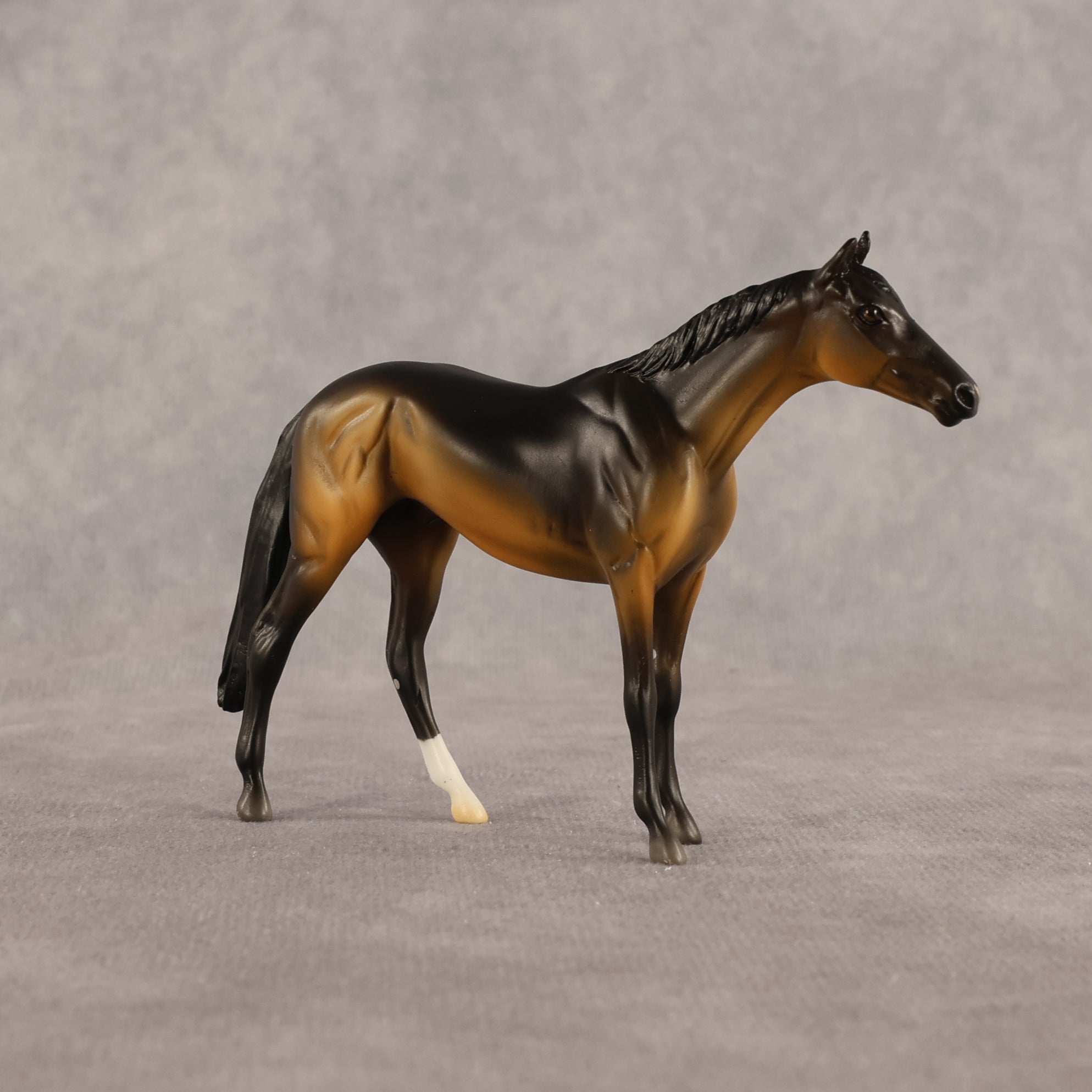 Sam OOAK Chip Thoroughbred  by Madi Wiseman EQ26