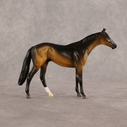 Sam OOAK Chip Thoroughbred  by Madi Wiseman EQ26
