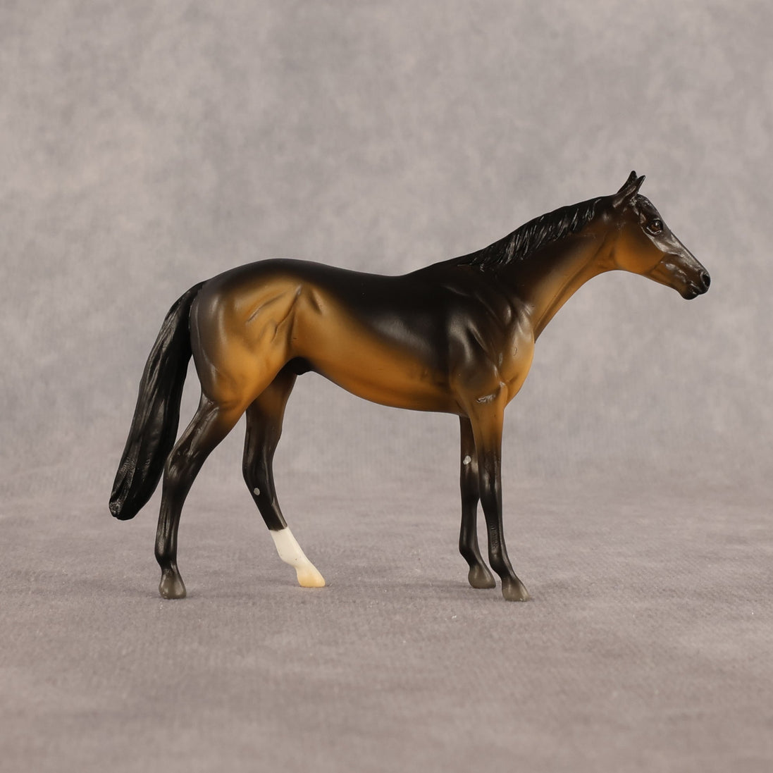 Sam OOAK Chip Thoroughbred  by Madi Wiseman EQ26