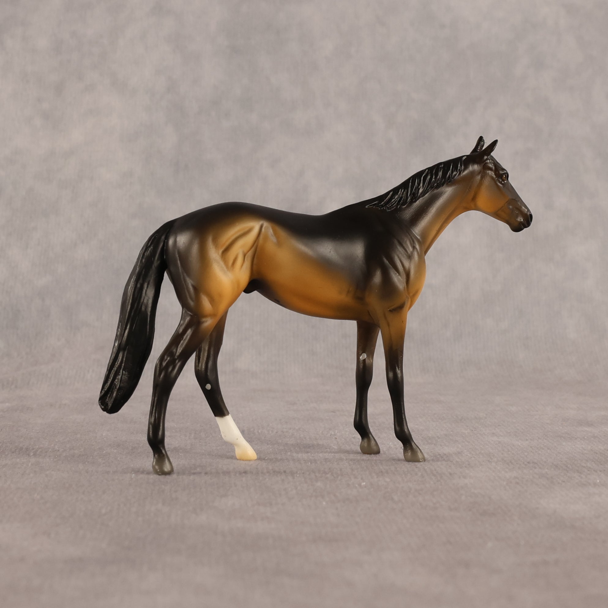 Sam OOAK Chip Thoroughbred  by Madi Wiseman EQ26