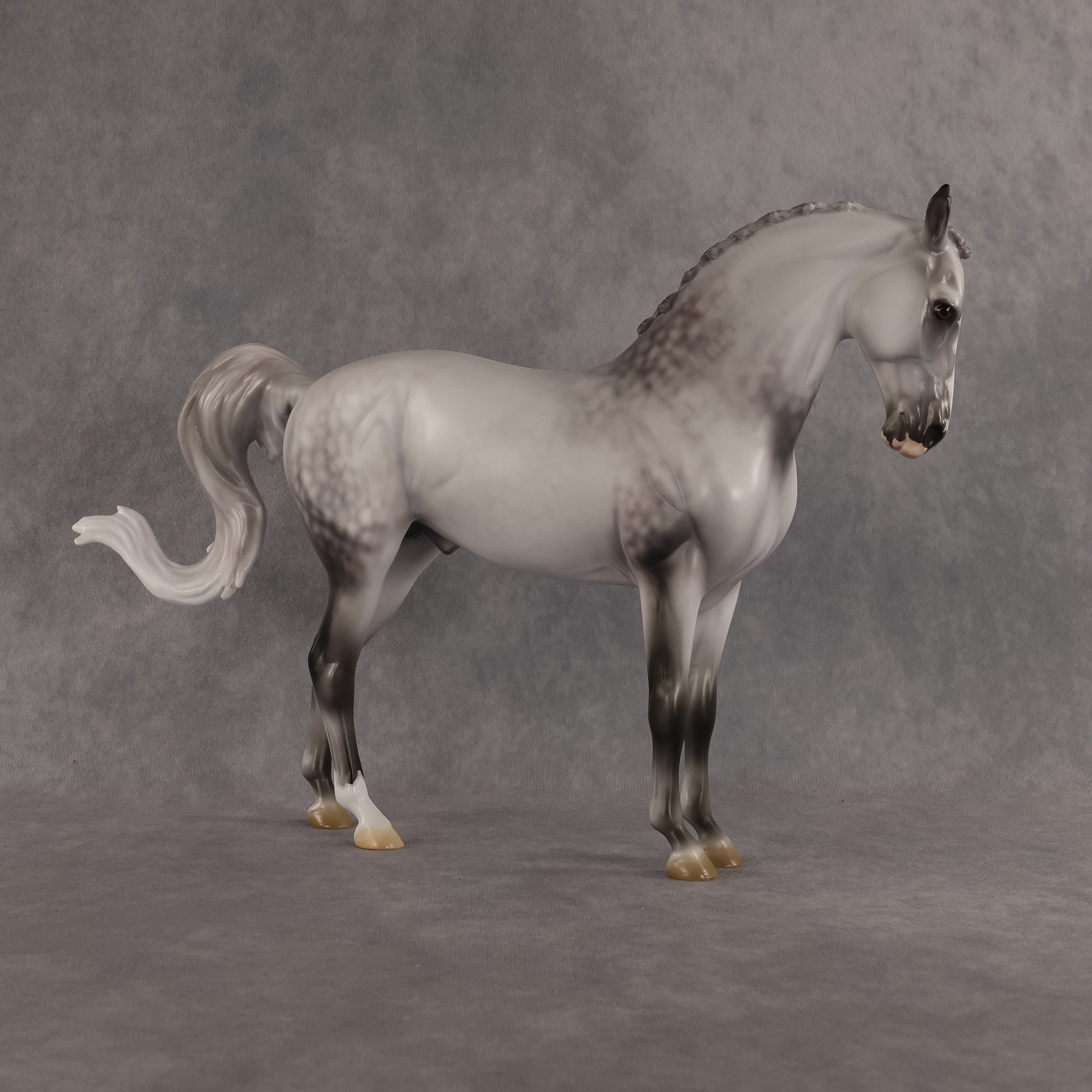 Samson OOAK FCM Andalusian by Jess Hamill Best Offer 7.28.2026