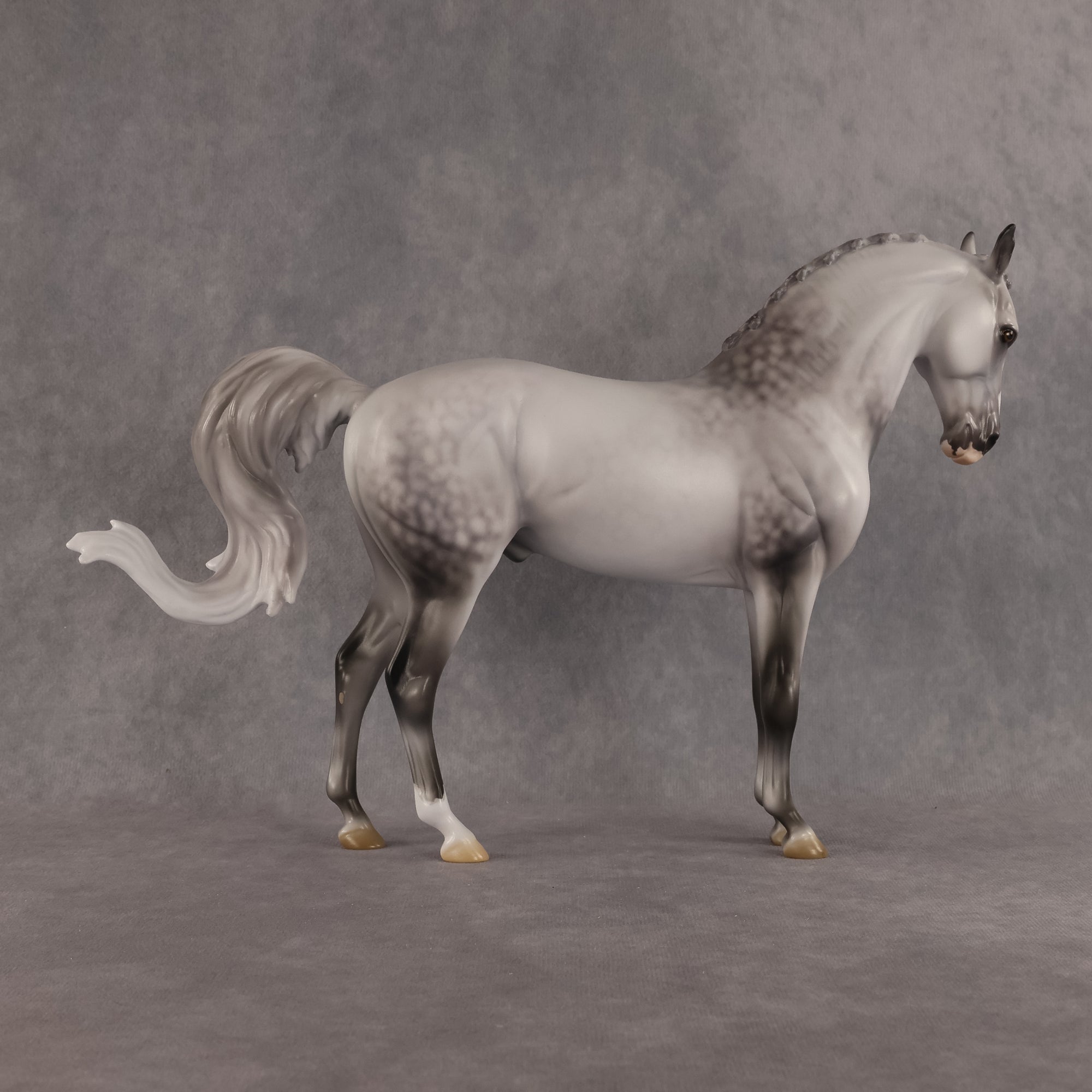 Samson OOAK FCM Andalusian by Jess Hamill Best Offer 7.28.2026