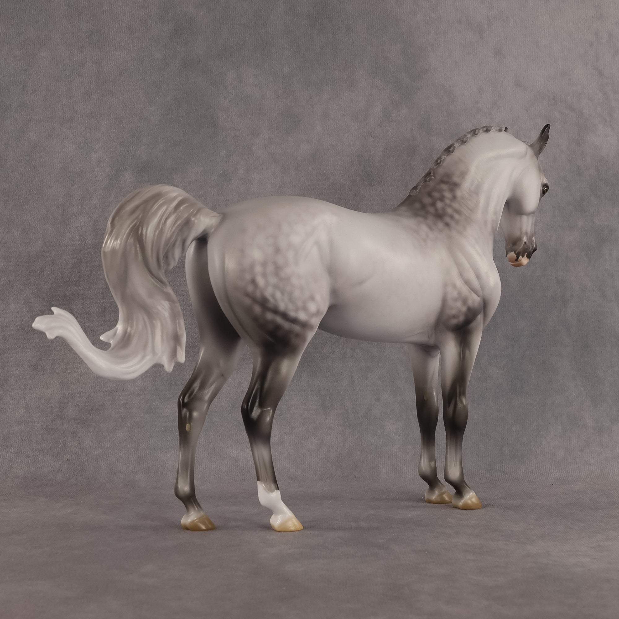 Samson OOAK FCM Andalusian by Jess Hamill Best Offer 7.28.2026
